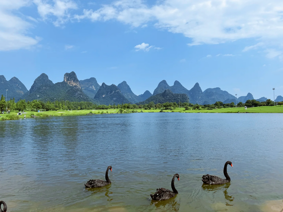 Guihai Qinglan Scenic Area