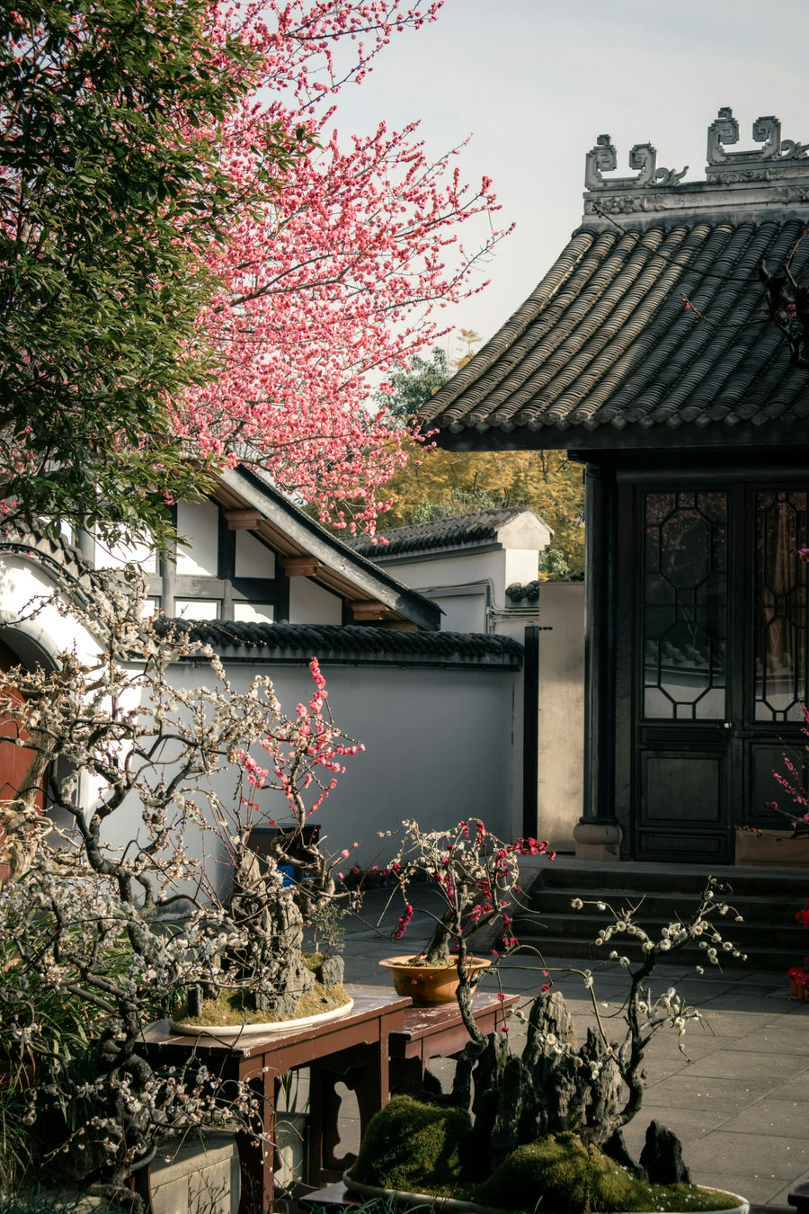 Du Fu Thatched Cottage