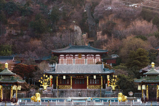 Xi'an Terracotta Warriors and Huaqing Palace Day Tour