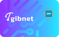 gibnet-in-30days-3gb