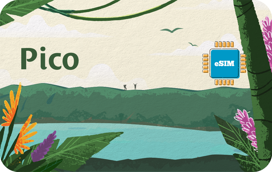 pico-in-3days-unlimited
