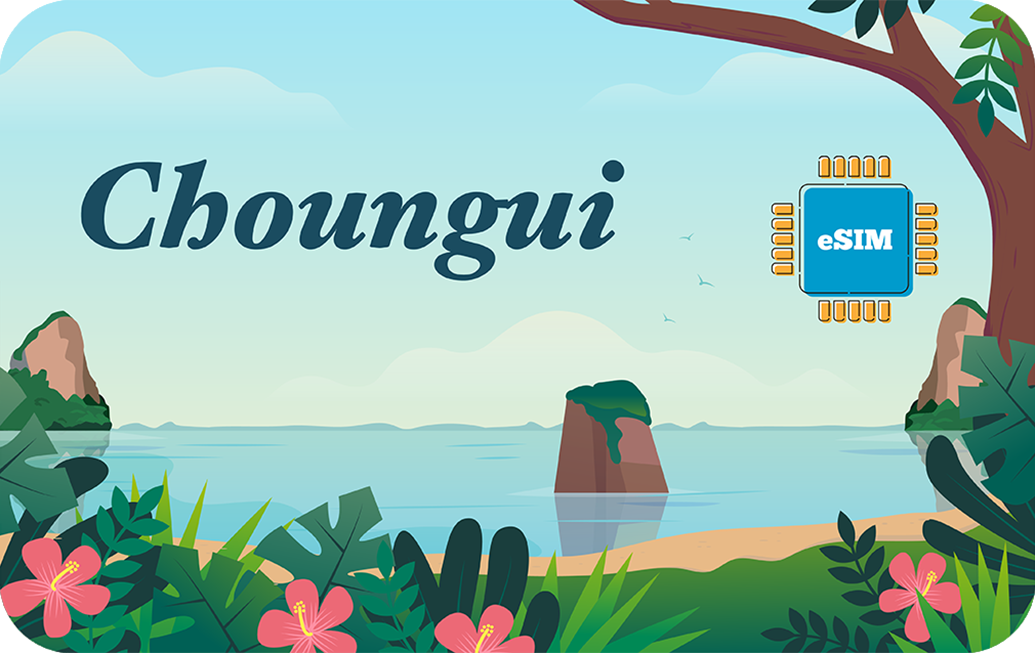 choungui-in-15days-2gb