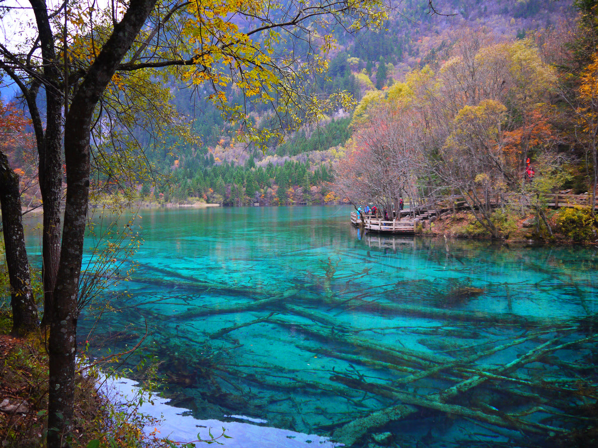 Five Flower Lake, Jiuzhaigou