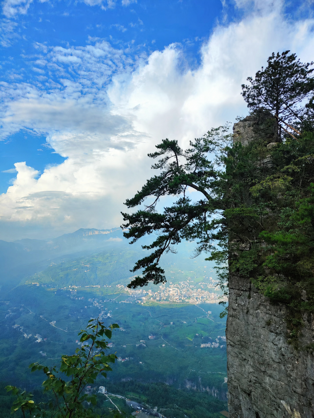 Cliffside pine overlooking the valley at Qixingzhai, Enshi Grand Canyon