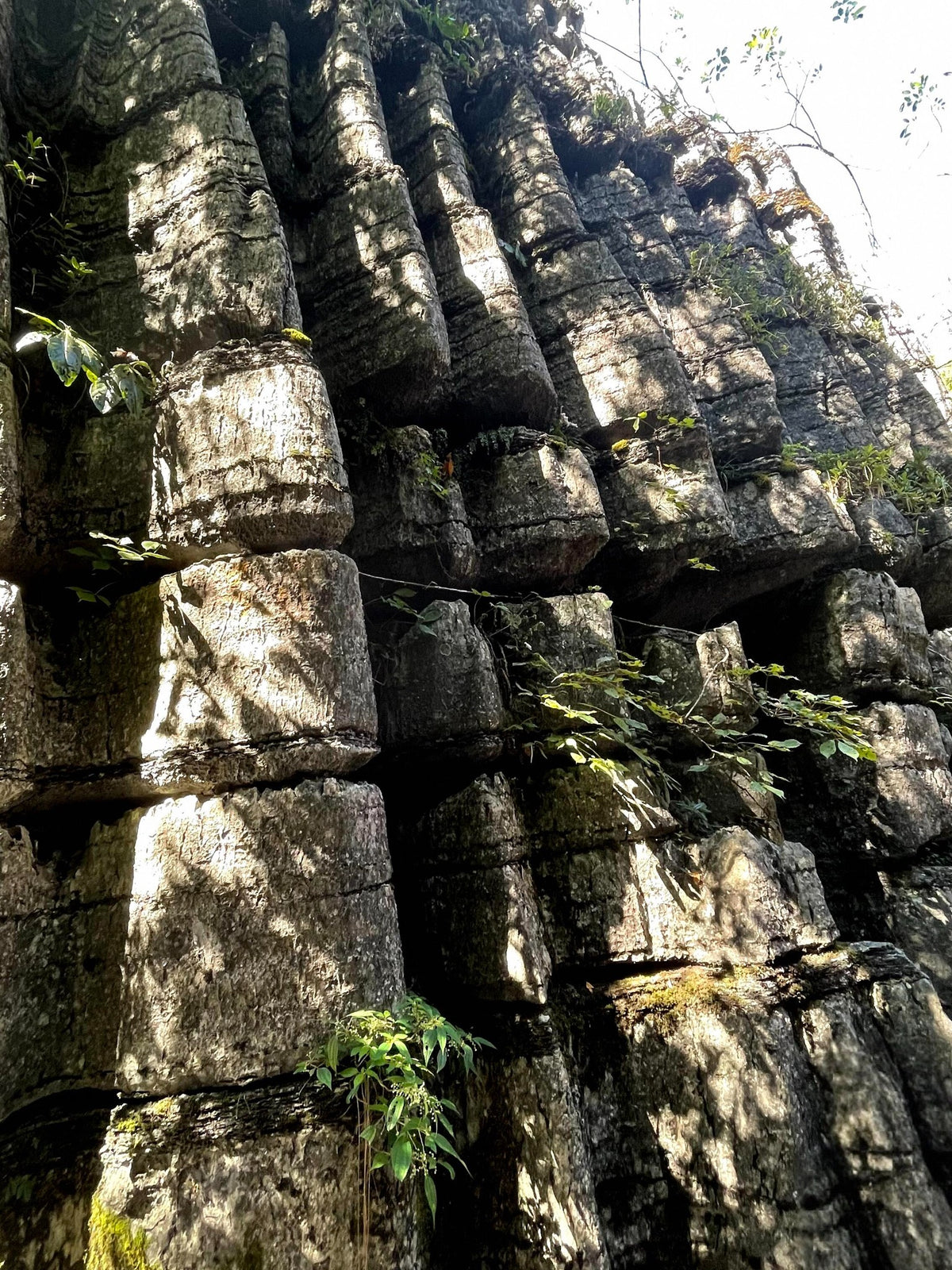 Weathered limestone pillars and forest vegetation at Suobuya Stone Forest in Enshi