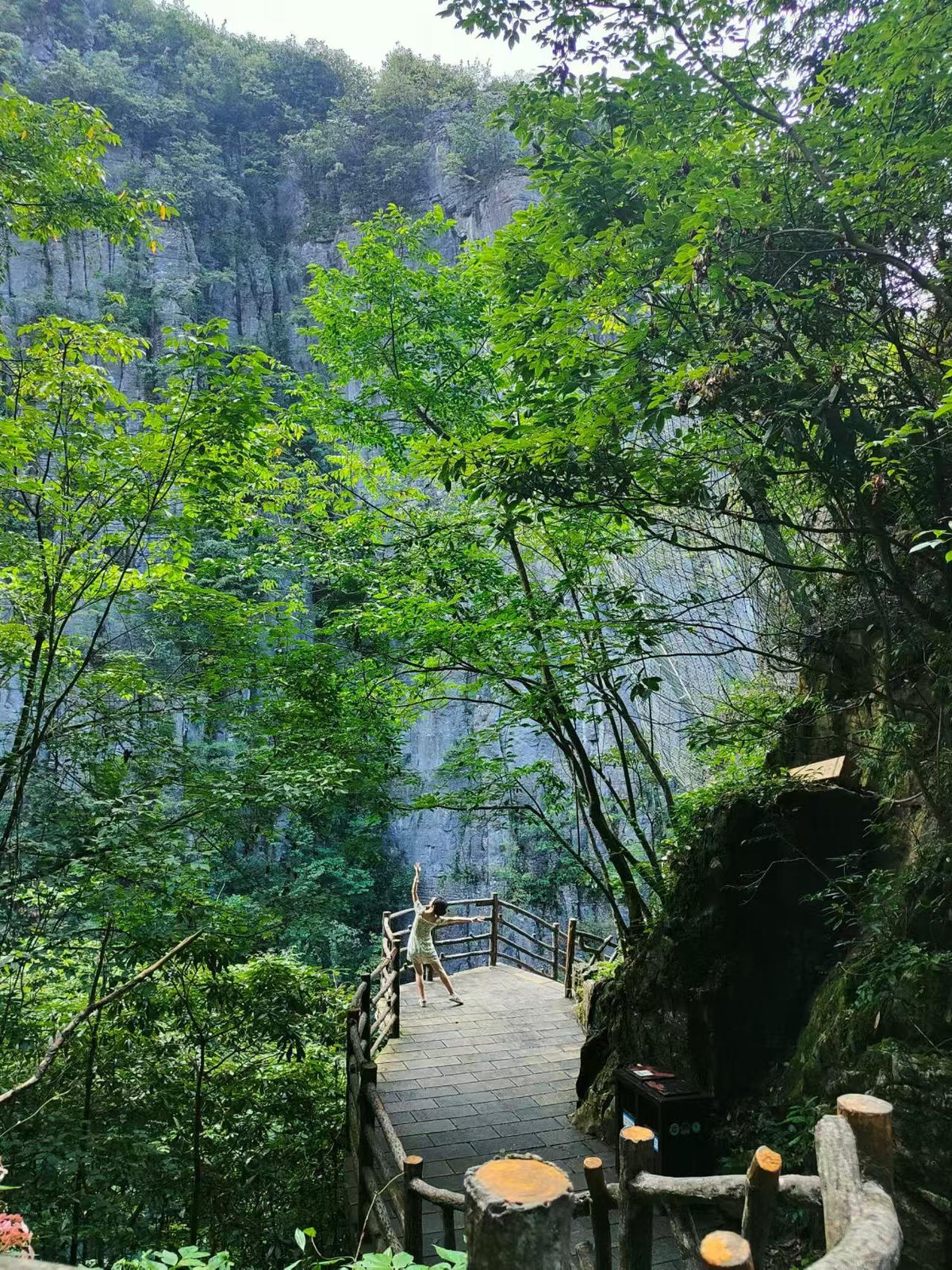 Forested walkway inside Yunlong Ground Fissure, Enshi Grand Canyon