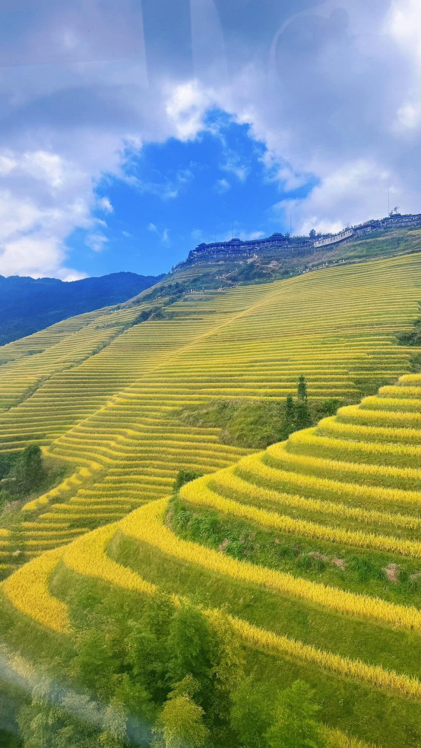 Longji Rice Terraces