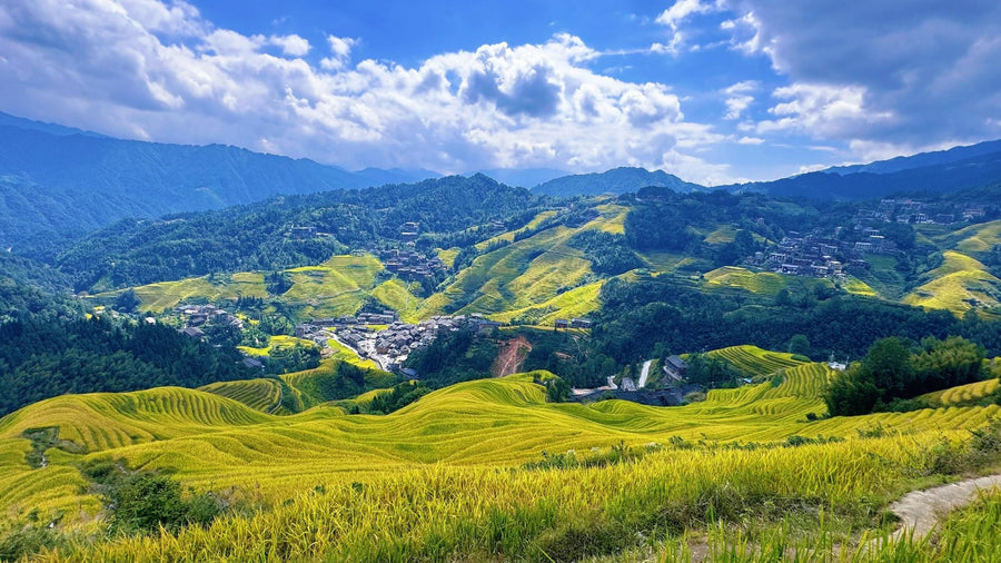 Longji Rice Terraces