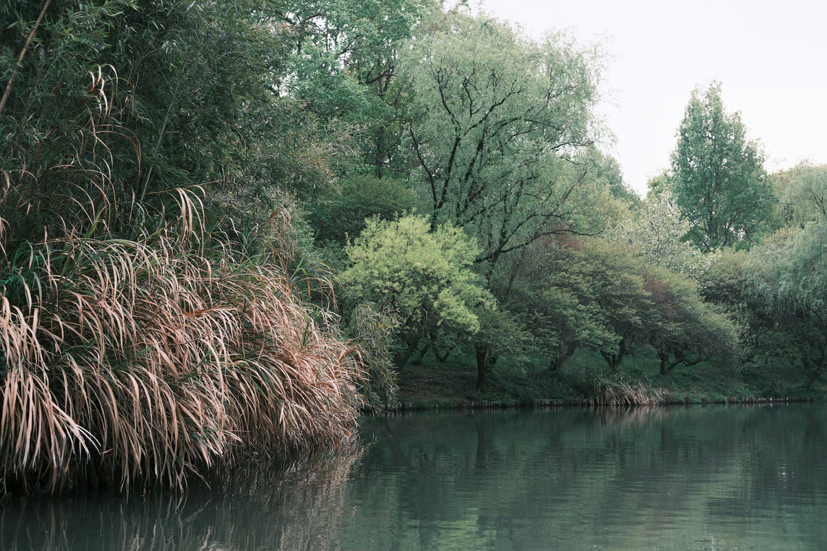 Xixi Wetland, Hangzhou