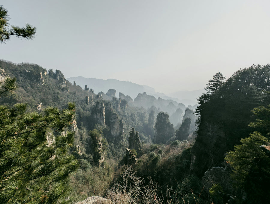 Tianzi Mountain