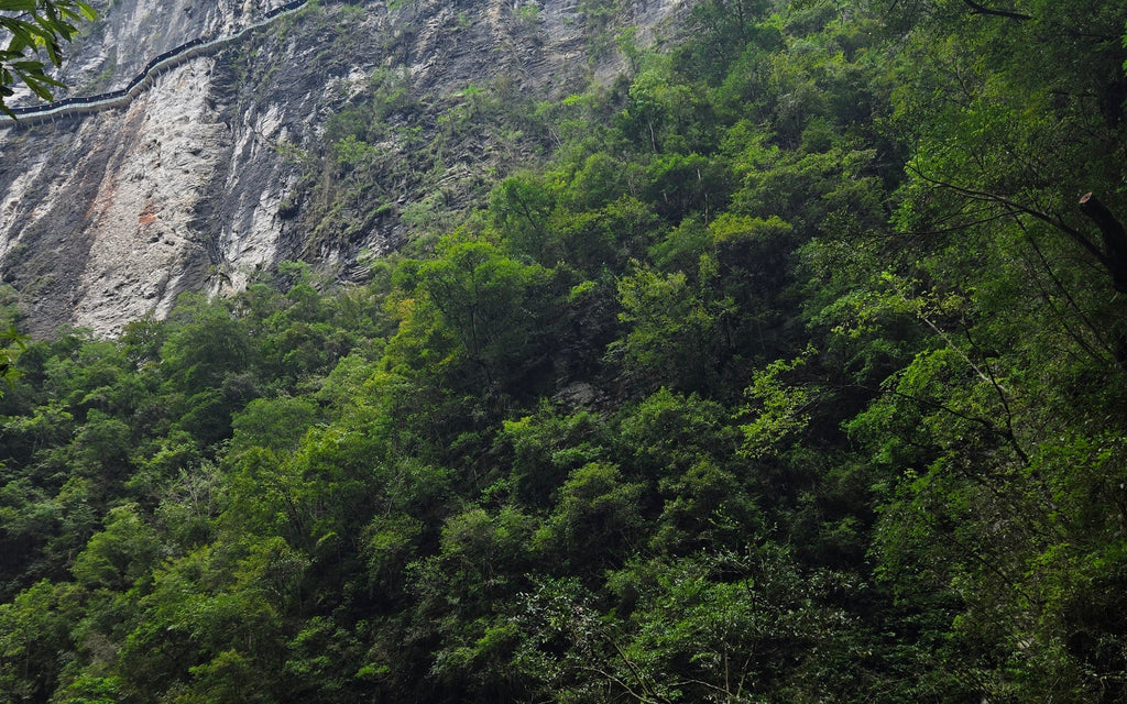 Pingshan Canyon emerald river landscape in Enshi, Hubei